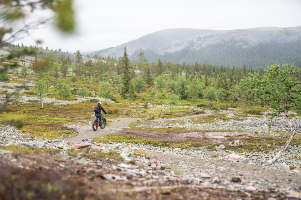 HILL bikerental 